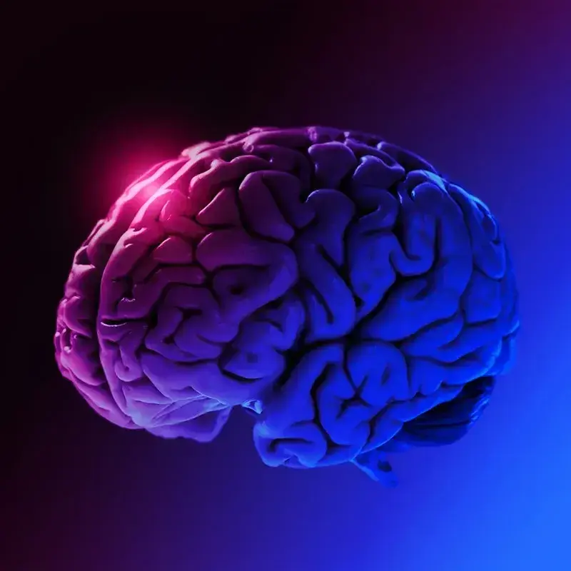 pink and purple gradient brain-1